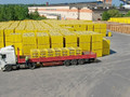 Газобетонный блок Istkult D500 625x200x250 Фото 5